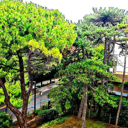 Apartment Erma In Front Of Sea Lignano Sabbiadoro