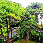 Apartment Erma In Front Of Sea Lignano Sabbiadoro